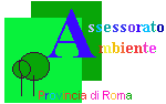 Logo_ass_amb_gif_trasp.gif (3041 bytes)